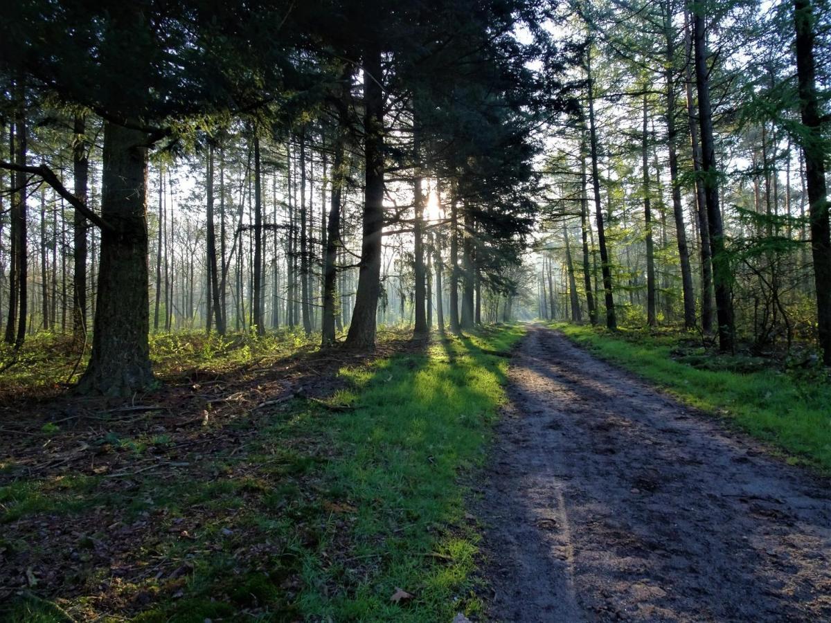 Veluwe Park Reewold Chalet Eclipse Putten Exteriör bild